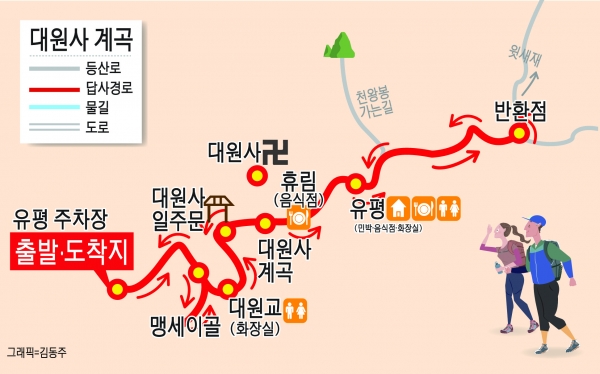 대원사계곡답사로