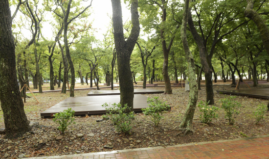 앵강다숲 텐트촌