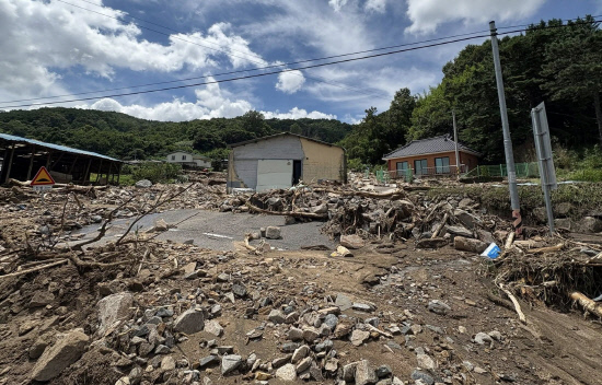 viewer Image