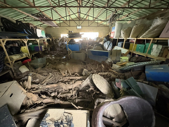 viewer Image