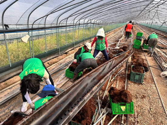 부산 동구 공무원·새마을회원, 하동 수해 복구 구슬땀 - 뉴스 썸네일 이미지