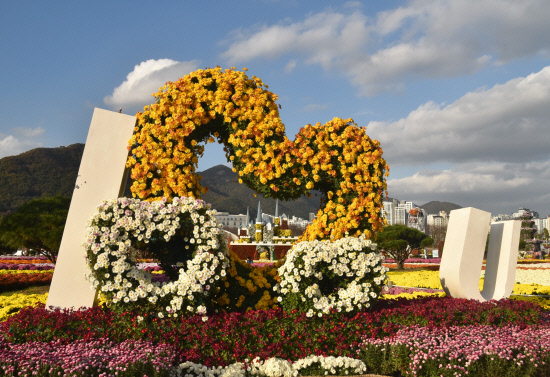 제21회 '양산국화축제' 24일~11월 9일 개최 - 뉴스 썸네일 이미지