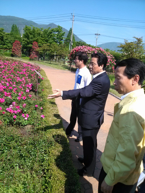 성산구 장미공원 개장 점검 3