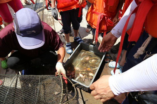 고현 어촌체험마을
