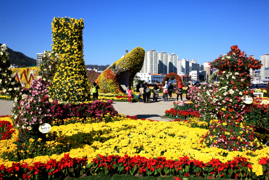 가고파국화축제 2