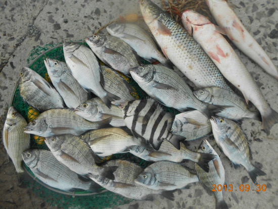 KakaoTalk_2445c5120c2562c1