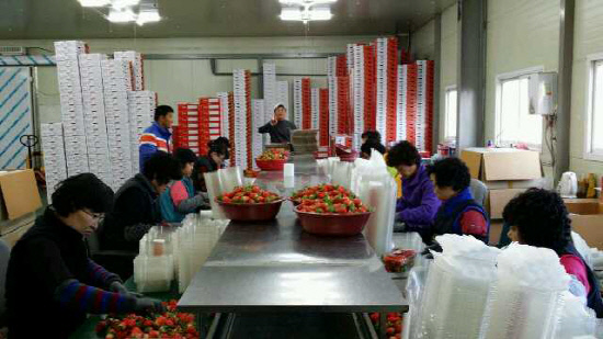 하동 천부농 만부촌 선과 보고회.