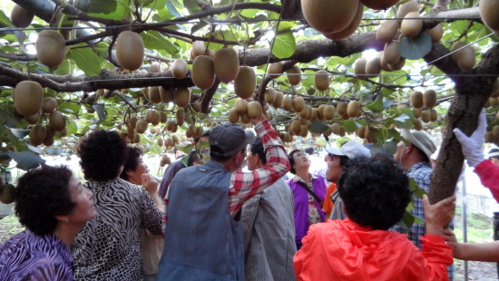 하동군 천부농 만부촌 성과 보고회.