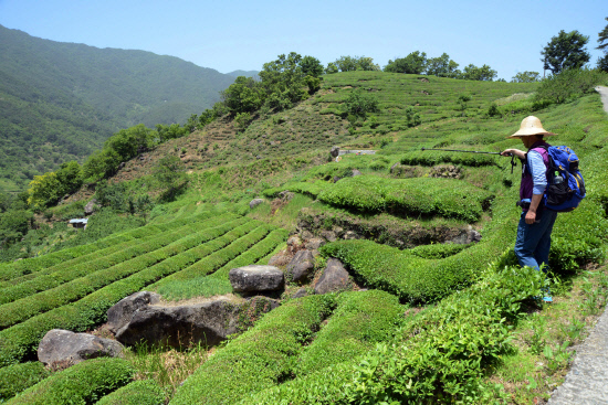 gn20140530둘레길5원부춘 (111)