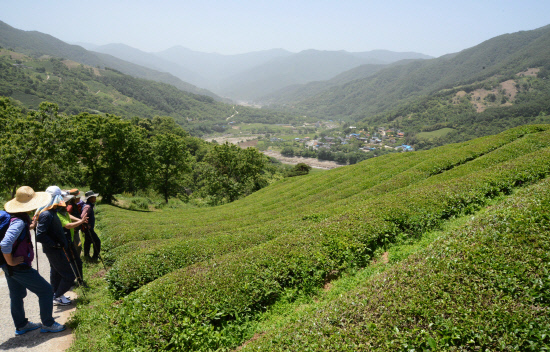 gn20140530둘레길5원부춘 (69)