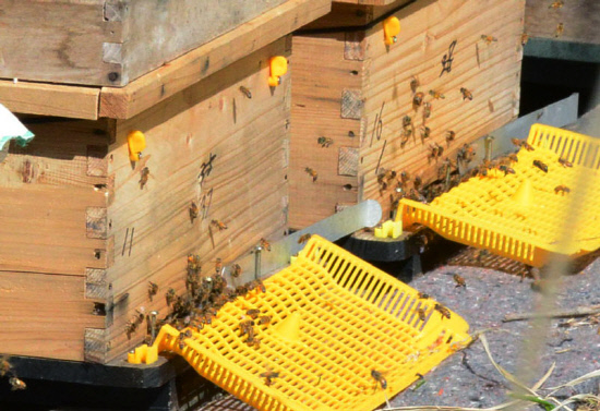 gn20140530둘레길5원부춘 (10)