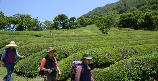 gn20140530둘레길5원부춘 (93)