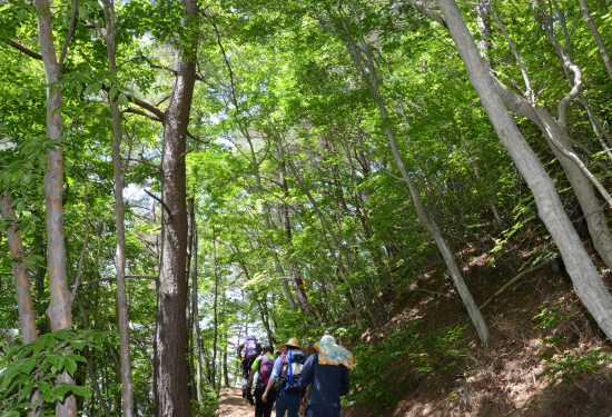 gn20140530둘레길5원부춘 (48)