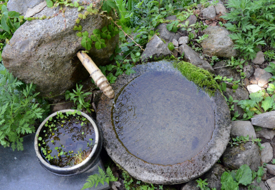 gn20140530둘레길5원부춘 (56)