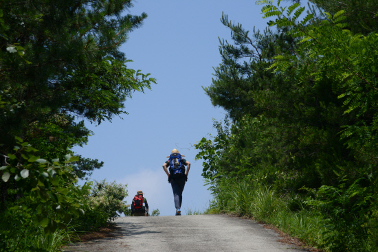 20140614지리산둘레길 송정-오미마을7 (153)