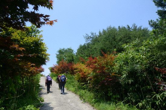 20140614지리산둘레길 송정-오미마을7 (168)