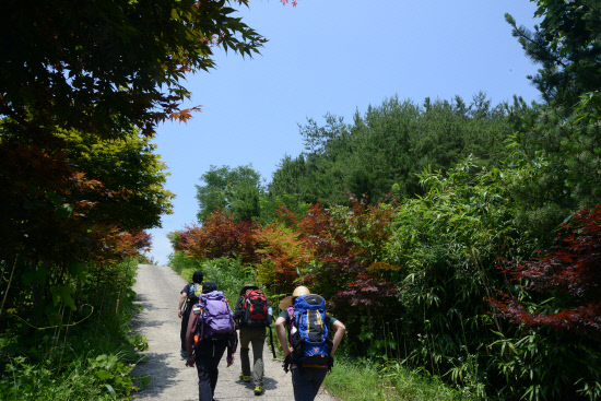 20140614지리산둘레길 송정-오미마을7 (164)