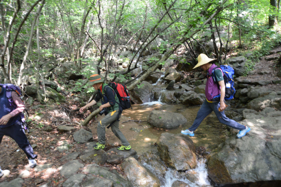 20140614지리산둘레길 송정-오미마을7 (48)
