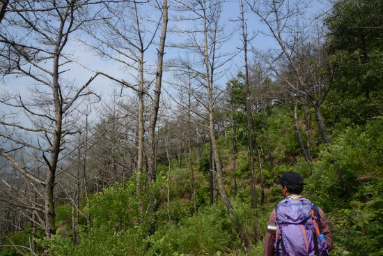 20140614지리산둘레길 송정-오미마을7 (69)