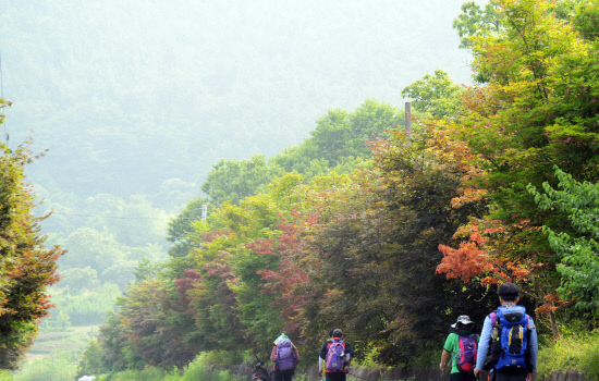 gn20140621지리산둘레길8오미 방광마을 (21)