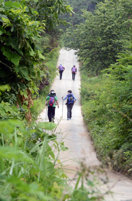 gn20140621지리산둘레길8오미 방광마을 (59)