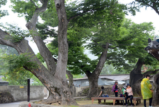 gn20140621지리산둘레길8오미 방광마을 (155)