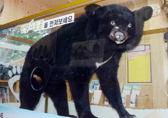 gn20140621지리산둘레길8오미 방광마을 (94)