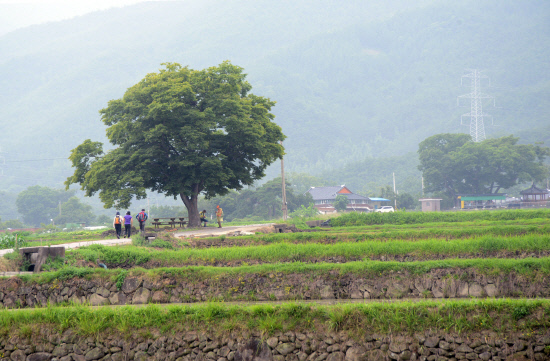 gn20140621지리산둘레길8오미 방광마을 (148)