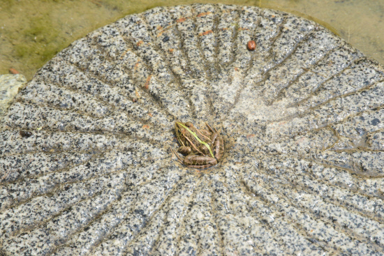 gn20140629지리산둘레길 9 방광마을 산동마을 (44)