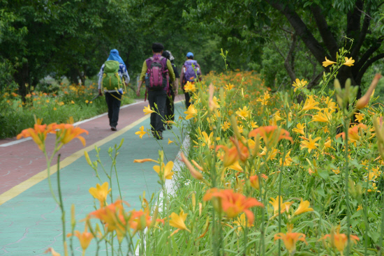 gn20140706지리산둘레길 10 오미-난동구간 (131)