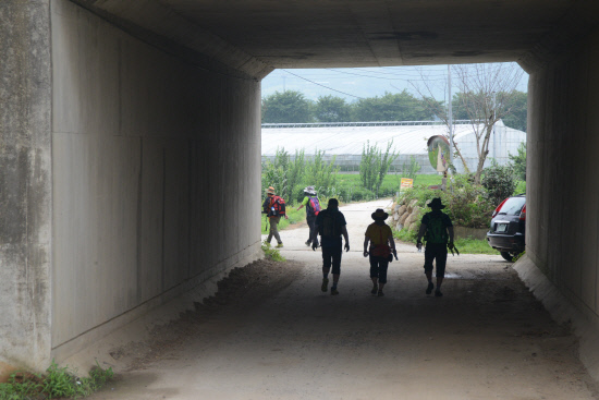 gn20140706지리산둘레길 10 오미-난동구간 (165)