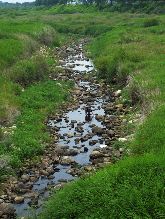 gn20140706지리산둘레길 10 오미-난동구간 (198)
