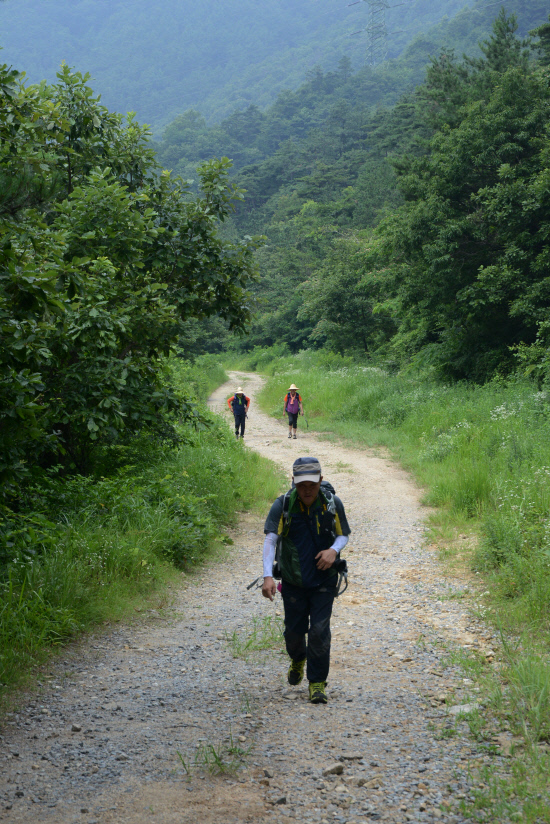 GN20140711 지리산둘레길 11코스 산동마을 주천마을 (139)