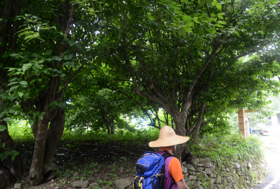 GN20140711 지리산둘레길 11코스 산동마을 주천마을 (62)