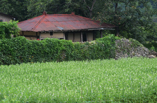 GN20140711 지리산둘레길 11코스 산동마을 주천마을 (13)