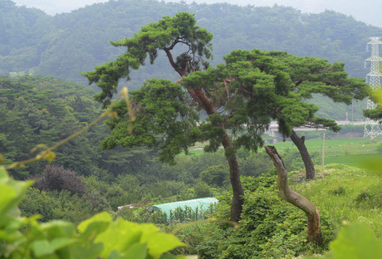 GN20140711 지리산둘레길 11코스 산동마을 주천마을 (44)