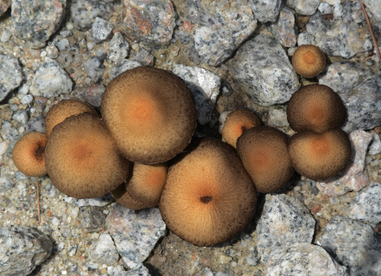 GN20140711 지리산둘레길 11코스 산동마을 주천마을 (159)