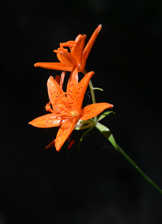 GN20140711 지리산둘레길 11코스 산동마을 주천마을 (174)