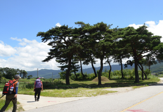 gn20140725지리산둘레길 주천-운봉 12 (139)