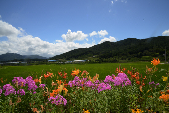 gn20140725지리산둘레길 주천-운봉 12 (240)