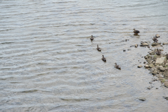20140801지리산둘레길13 운봉 인월구간 (22)
