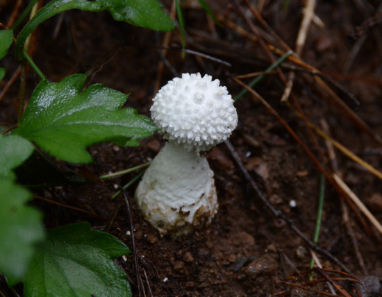 gn20140808지리산둘레길 14회,15회차 (320)