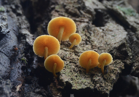 gn20140808지리산둘레길 14회,15회차 (393)