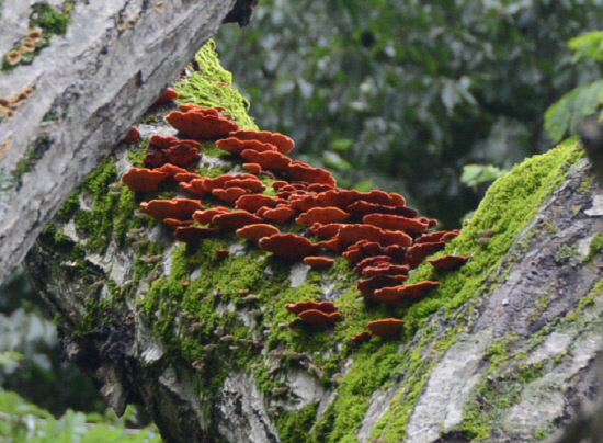 gn20140808지리산둘레길 14회,15회차 (430)