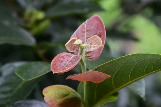 gn20140808지리산둘레길 14회,15회차 (488)