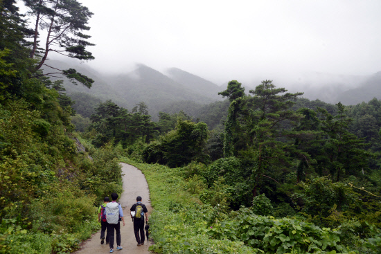 gn20140808지리산둘레길 14회,15회차 (474)