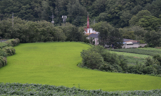 gn20140808지리산둘레길 14회,15회차 (481)