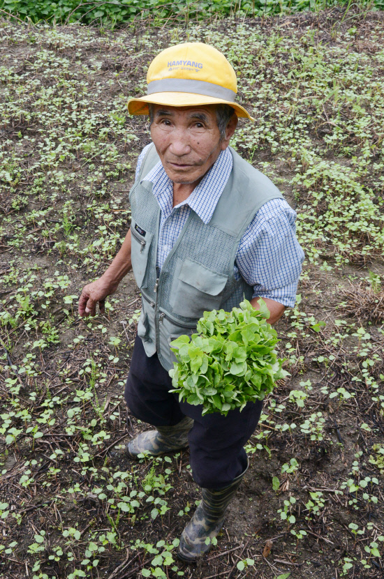 gn20140808지리산둘레길 14회,15회차 (498)