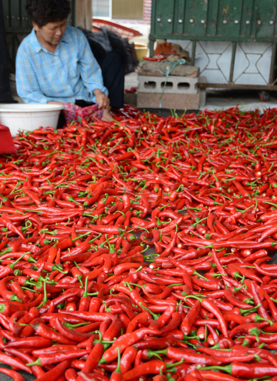 gn20140829지리산둘레길 동강마을 수철구간 17회차 (4)