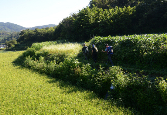gn20140905지리산둘레길 18 수철마을 성심원 (9)